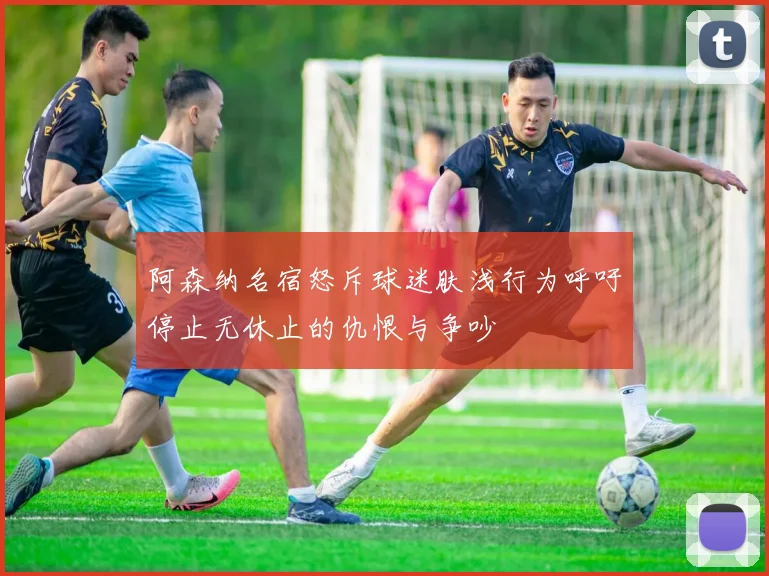 阿森纳名宿怒斥球迷肤浅行为呼吁停止无休止的仇恨与争吵
